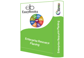 Enterprise Resource Planing